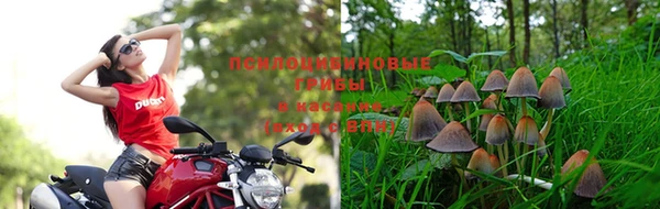 альфа пвп Вязьма